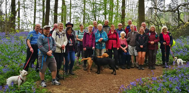 Walks Festival 2019