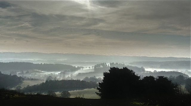 Newlands Corner